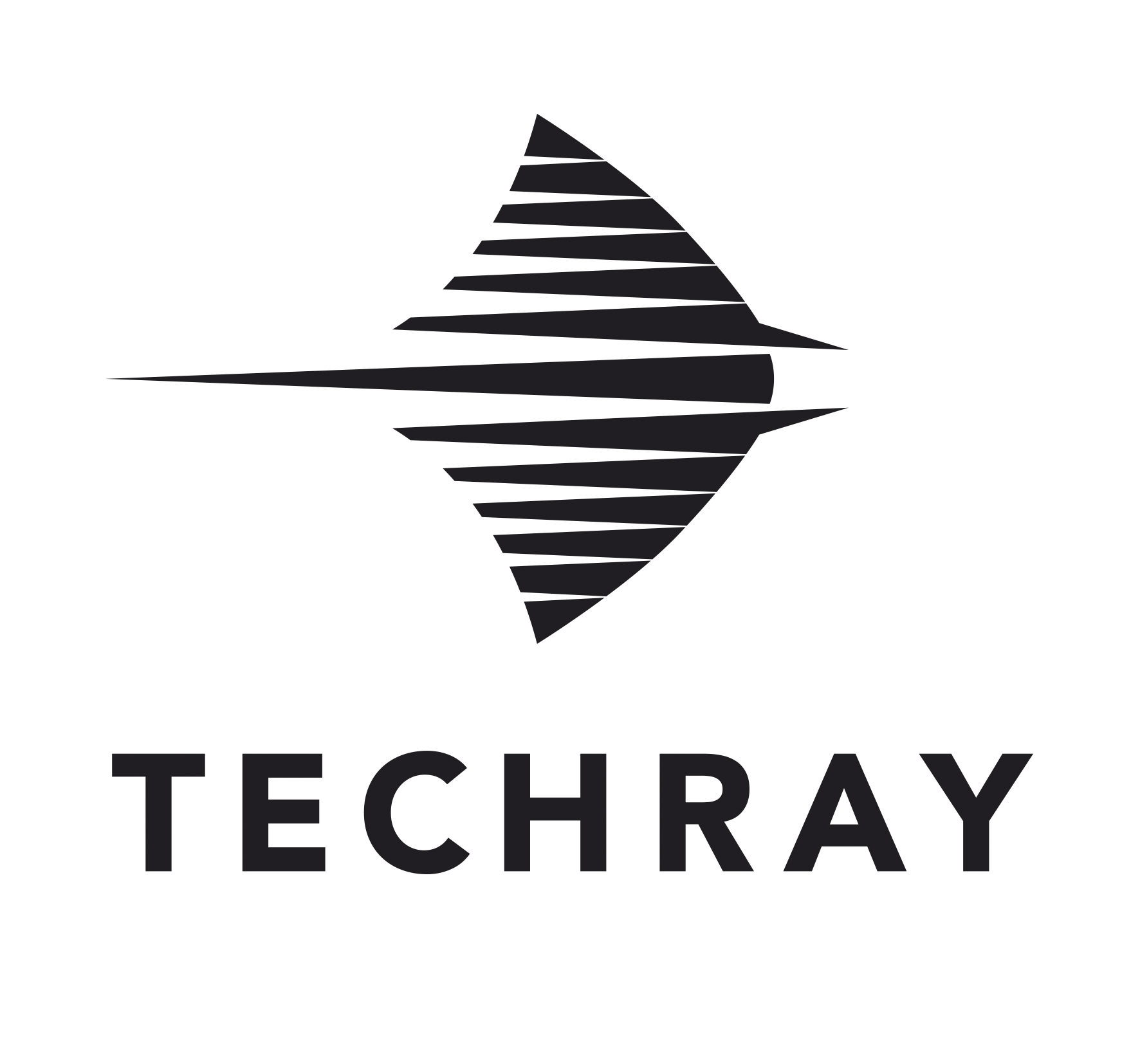 Techray Development Korlátolt Felelősségű Társaság