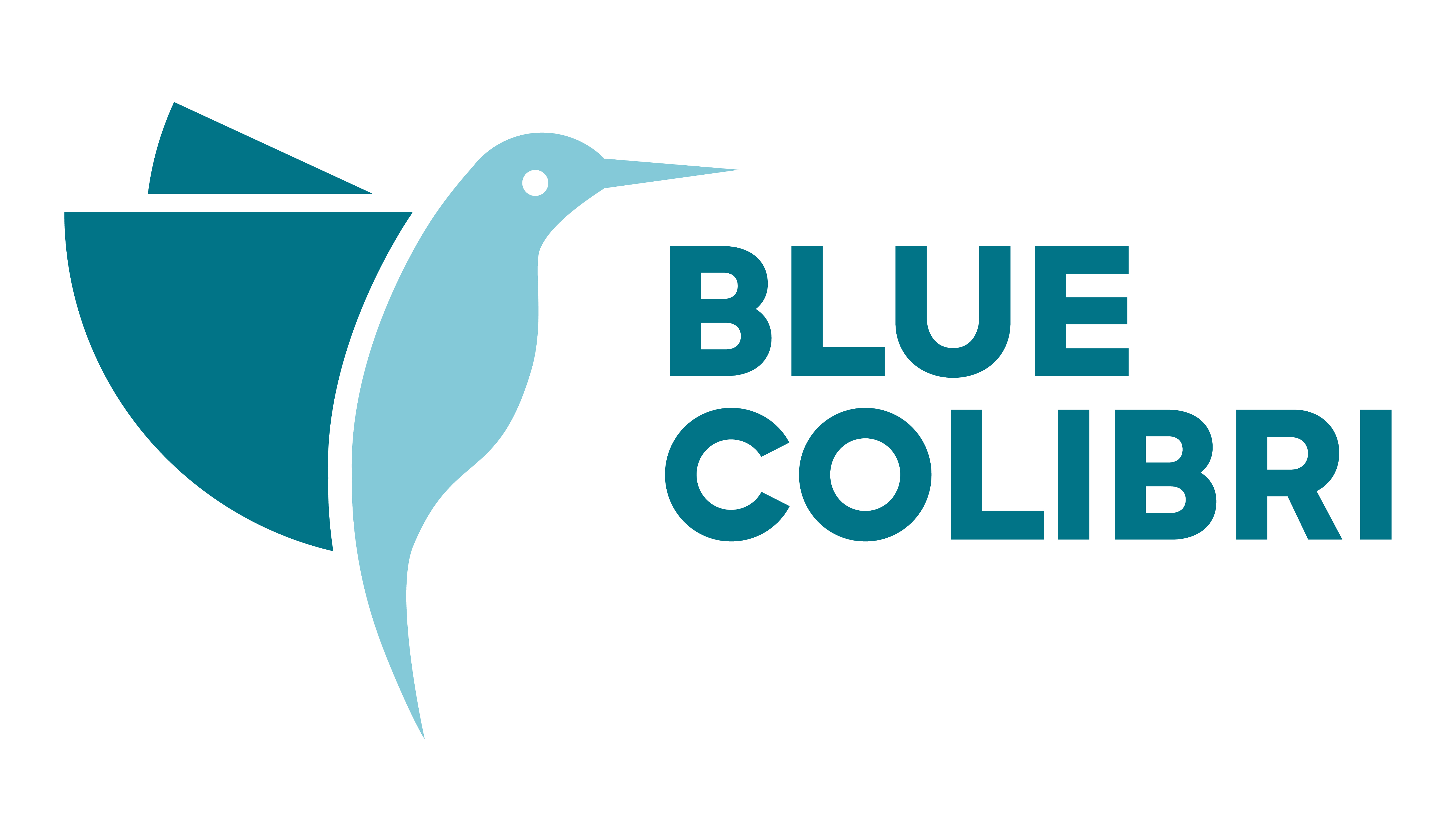 Blue Colibri International Korlátolt Felelősségű Társaság