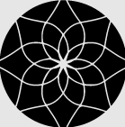 WSC Network Korlátolt Felelősségű Társaság