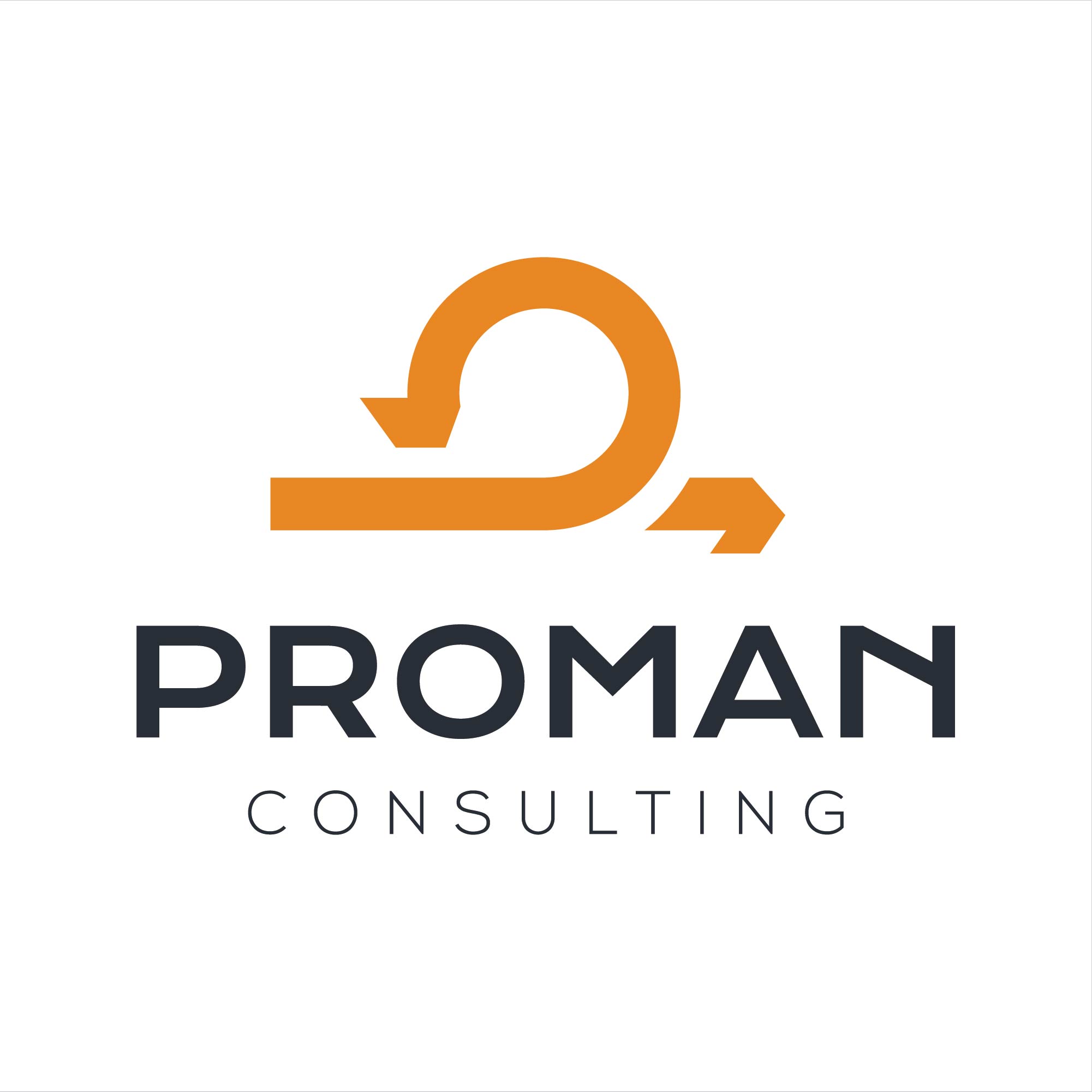 ProMan Consulting Korlátolt Felelősségű Társaság