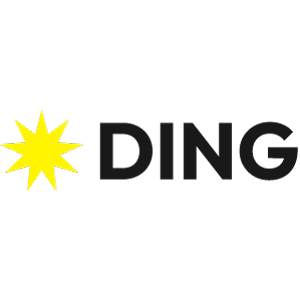 DiNG.hu Információtechnológiai Korlátolt Felelősségű Társaság